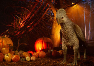 Buckbeak at Harry Potter: A Forbidden Forest Experience
