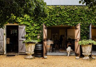 A dog at Krinklewood Winery
