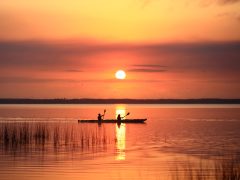 The 15 best things to do in Noosa with kids