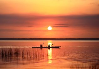 The 15 best things to do in Noosa with kids