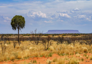 Mt Connor Northern Territory