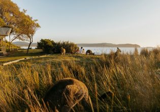 a family sitting together with kangaroos facing the beach at NRMA Murramarang Beachfront Holiday Resort