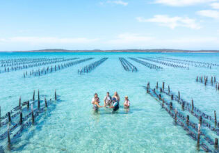 Top down aerial photo of guests wading amongst oyster racks