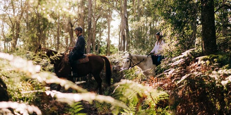 Zephyr Horses Byron Bay
