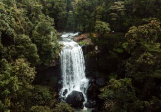 Zillie Falls near Cairns