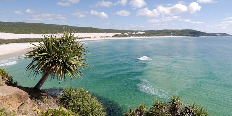 Top 10 things to do on K’gari (Fraser Island)