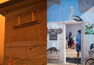 Mallacoota during and after the fires