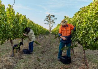 Witcher Ridge Winery in Margaret River