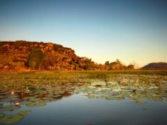 Mount Borradaile, Arnhem Land, Northern Territory