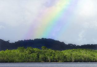 How to visit Palm Cove during the wet season
