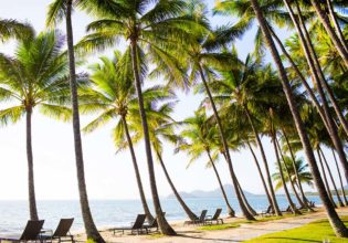 Amazing Palm Cove experiences to share with your other-half