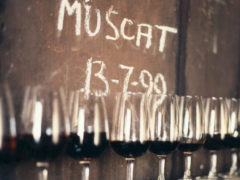 10 Incredible Things to Do in Rutherglen