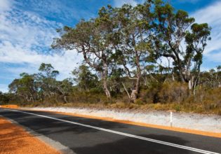 Cruising through the diverse Walpole-Nornalup National Park.