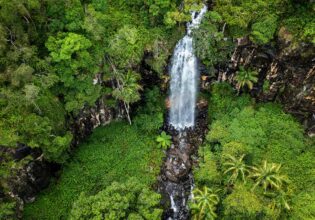 gondwana rainforest experiences, Cameron Falls at Tamborine Mountain
