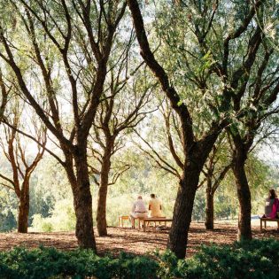 TarraWarra Estate in the Yarra Valley