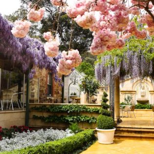 Topiary Cafe, Tea Tree Gully 2 high-res