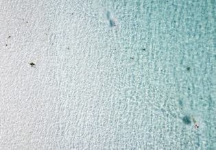 Photography: Dillon Seitchik-Reardon