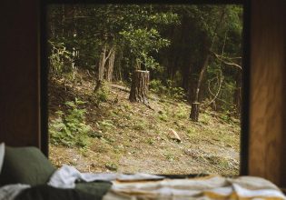 Unyoked Jojo window view