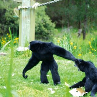 Review: Zoofari Lodges at Western Plains Zoo