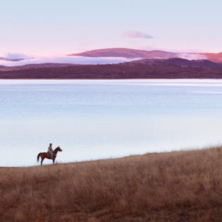 Things to do Mornington Peninsula