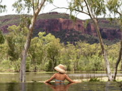 Mount Mulligan Lodge swimming pool